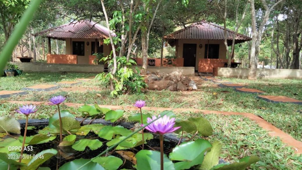 Hotel Niyagala Lodge Sigiriya Exterior photo
